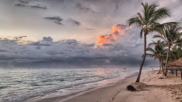 Tropical beach with clear blue water and palm trees